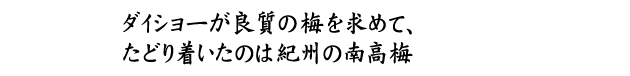 ダイショーが良質の梅を求めて、たどり着いたのは紀州の南高梅。